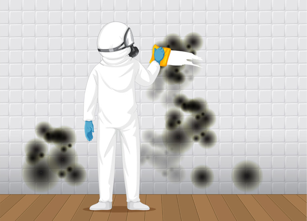 home-improvement-services